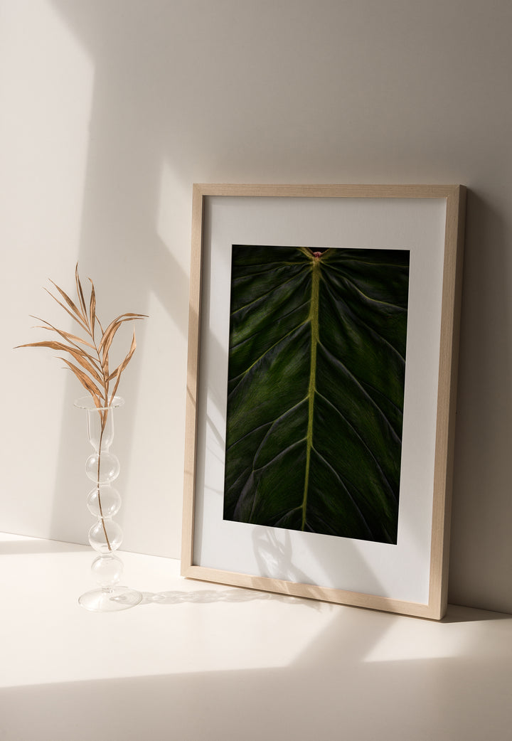 Trace of the Wild - Digital Download Botanical Art Print