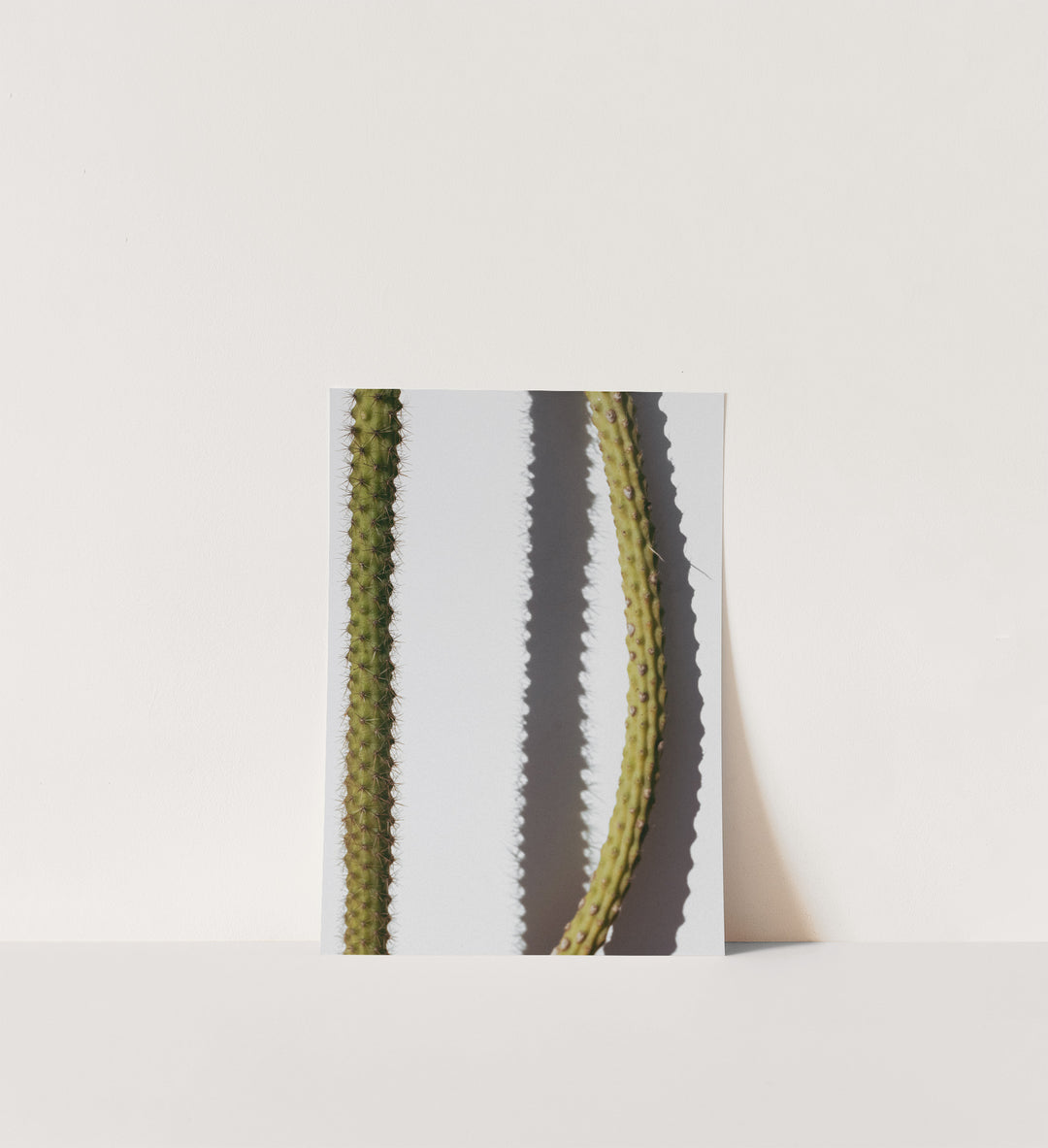 Spilling Shadows – Minimal Cactus Wall Art (Digital Download)