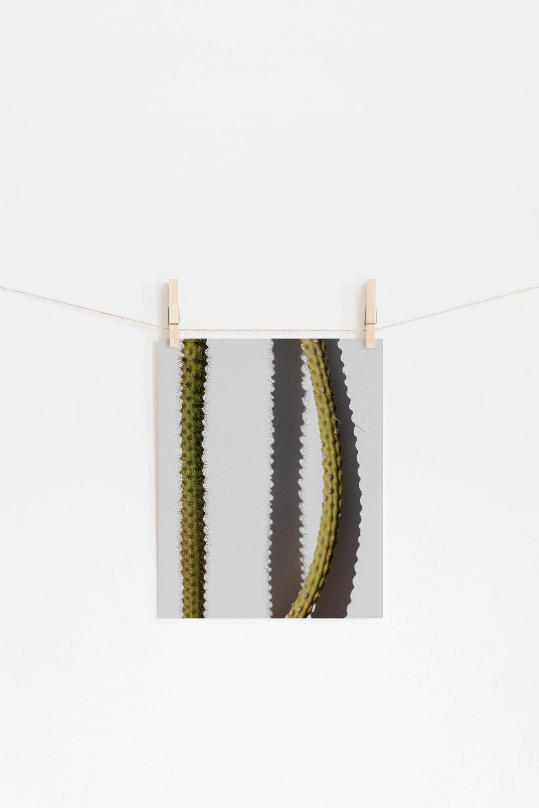 Spilling Shadows – Minimal Cactus Wall Art (Digital Download)