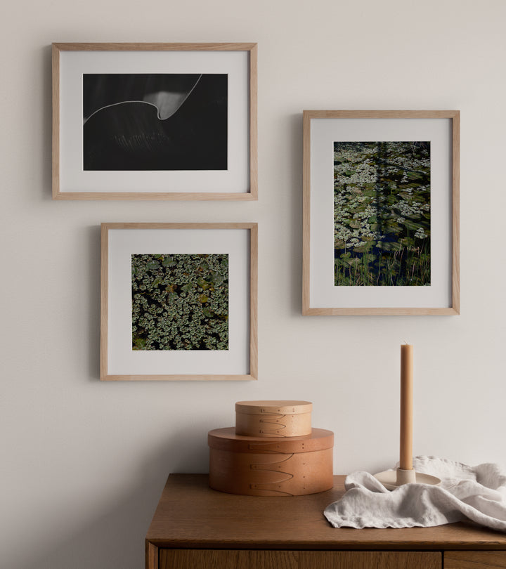 Muted Botanica — Set of 3 Digital Wall Art