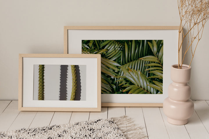 botanical artworks wall art of cactus and plants