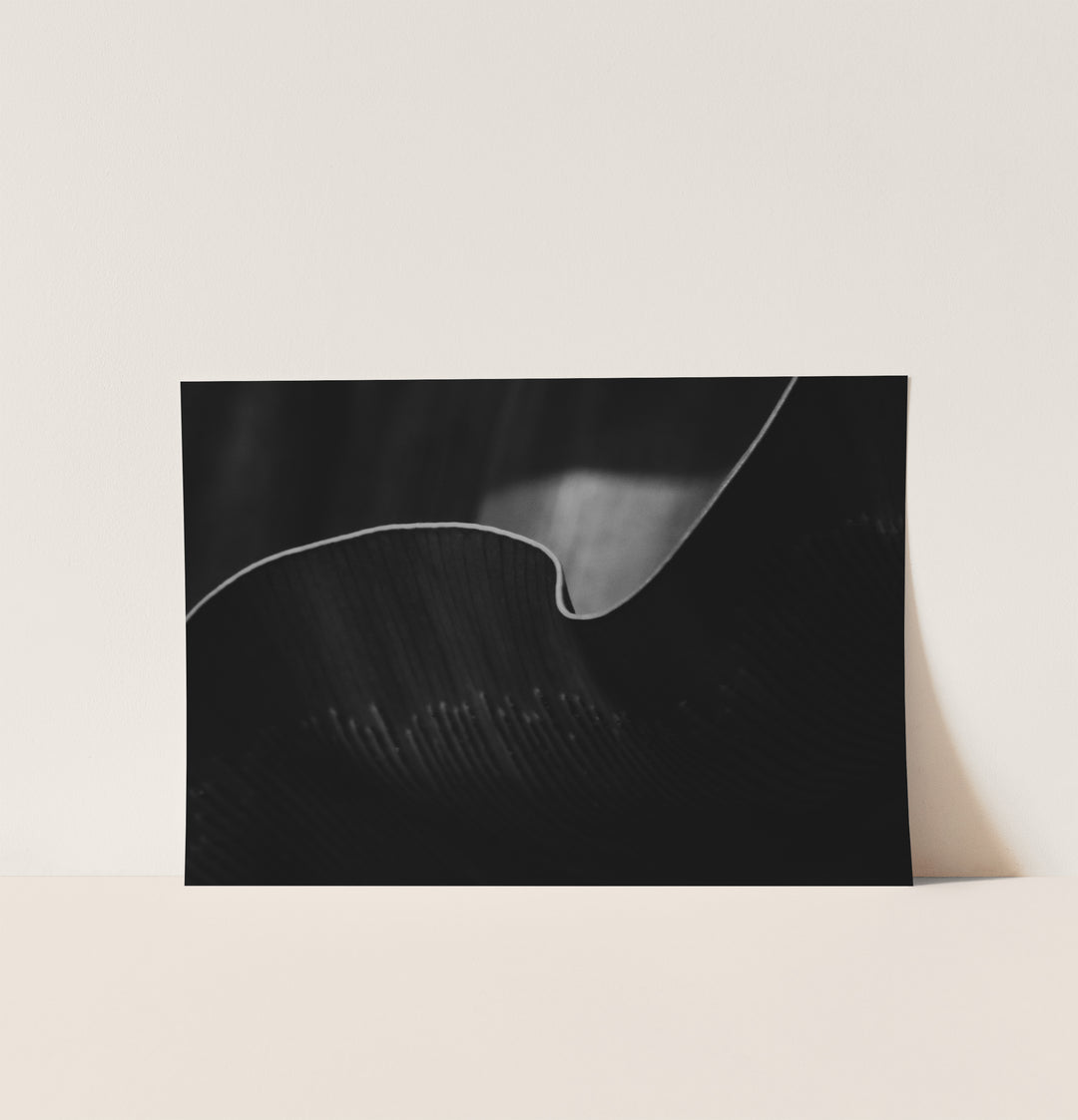 Muted Botanica — Set of 3 Digital Wall Art