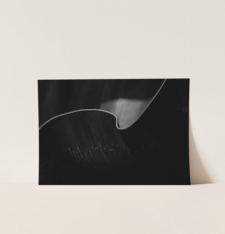 Muted Botanica — Set of 3 Digital Wall Art