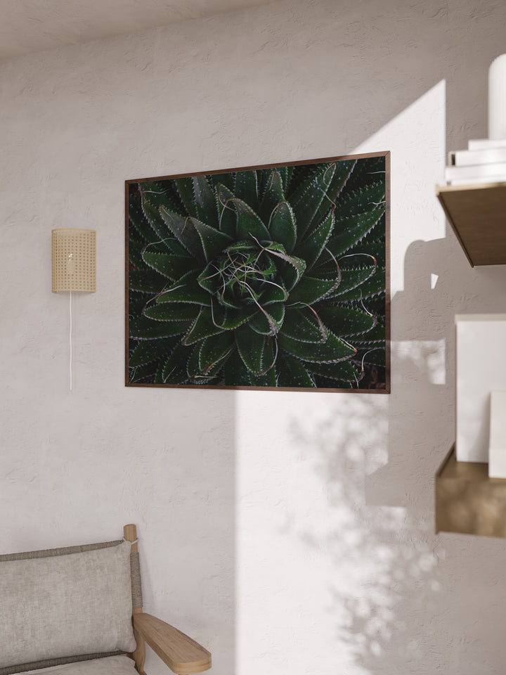 Aloe Unfolding – Moody Botanical Wall Art (Digital Download)