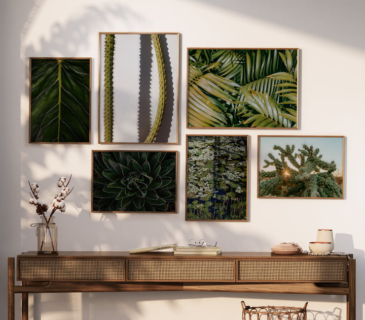 Spilling Shadows – Minimal Cactus Wall Art (Digital Download)