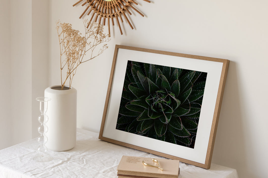Aloe Unfolding – Moody Botanical Wall Art (Digital Download)