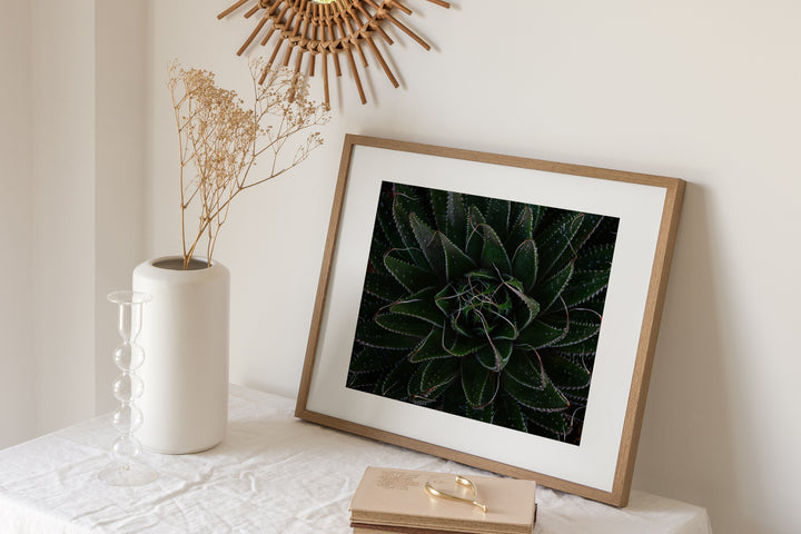 Aloe Unfolding – Moody Botanical Wall Art (Digital Download)