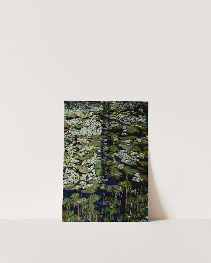 Verdant Design – Botanical Water Garden Wall Art (Digital Download)