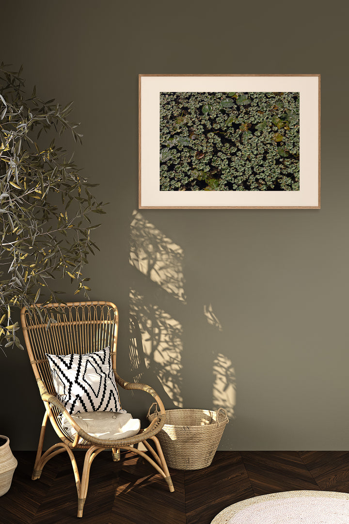 Lily Pad, Lily Pad – Abstract Nature Wall Art (Digital Download)