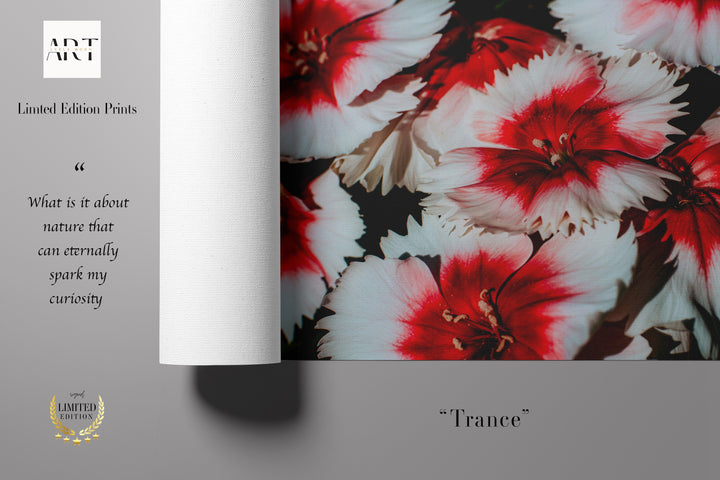 Red Velvet – Romantic Floral Wall Art (Digital Download)