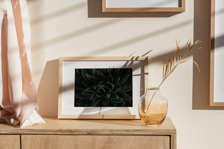 Aloe Unfolding – Moody Botanical Wall Art (Digital Download)