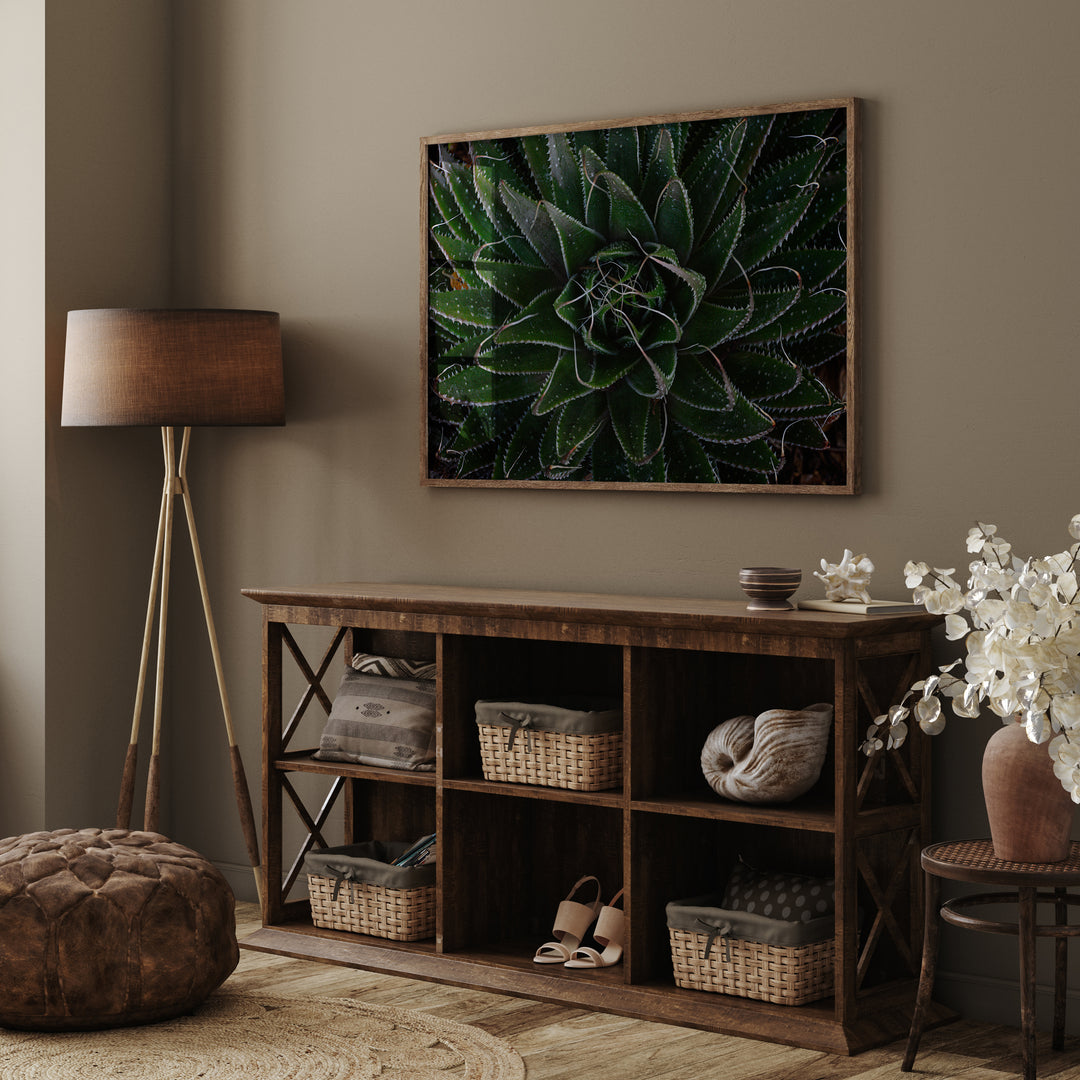 Aloe Unfolding – Moody Botanical Wall Art (Digital Download)
