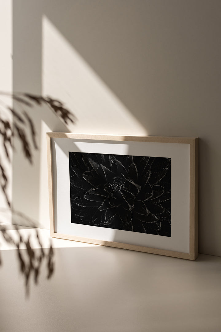 Silence Unfolding – Black & White Aloe Botanical Wall Art (Digital Download)