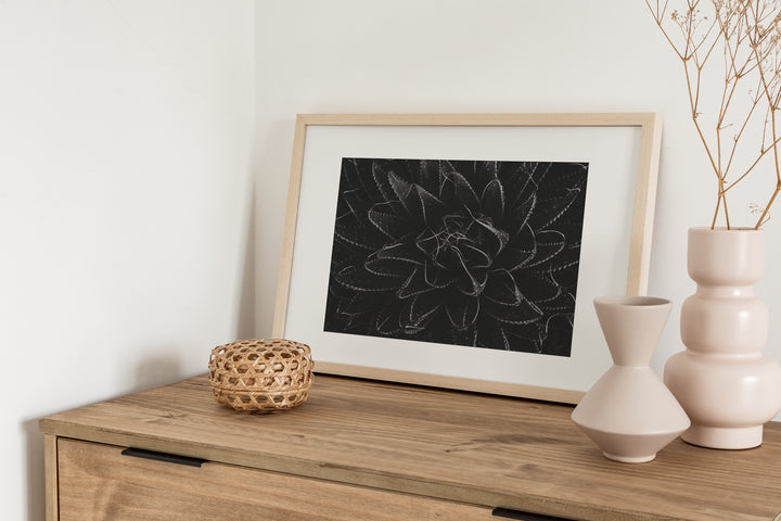Silence Unfolding – Black & White Aloe Botanical Wall Art (Digital Download)