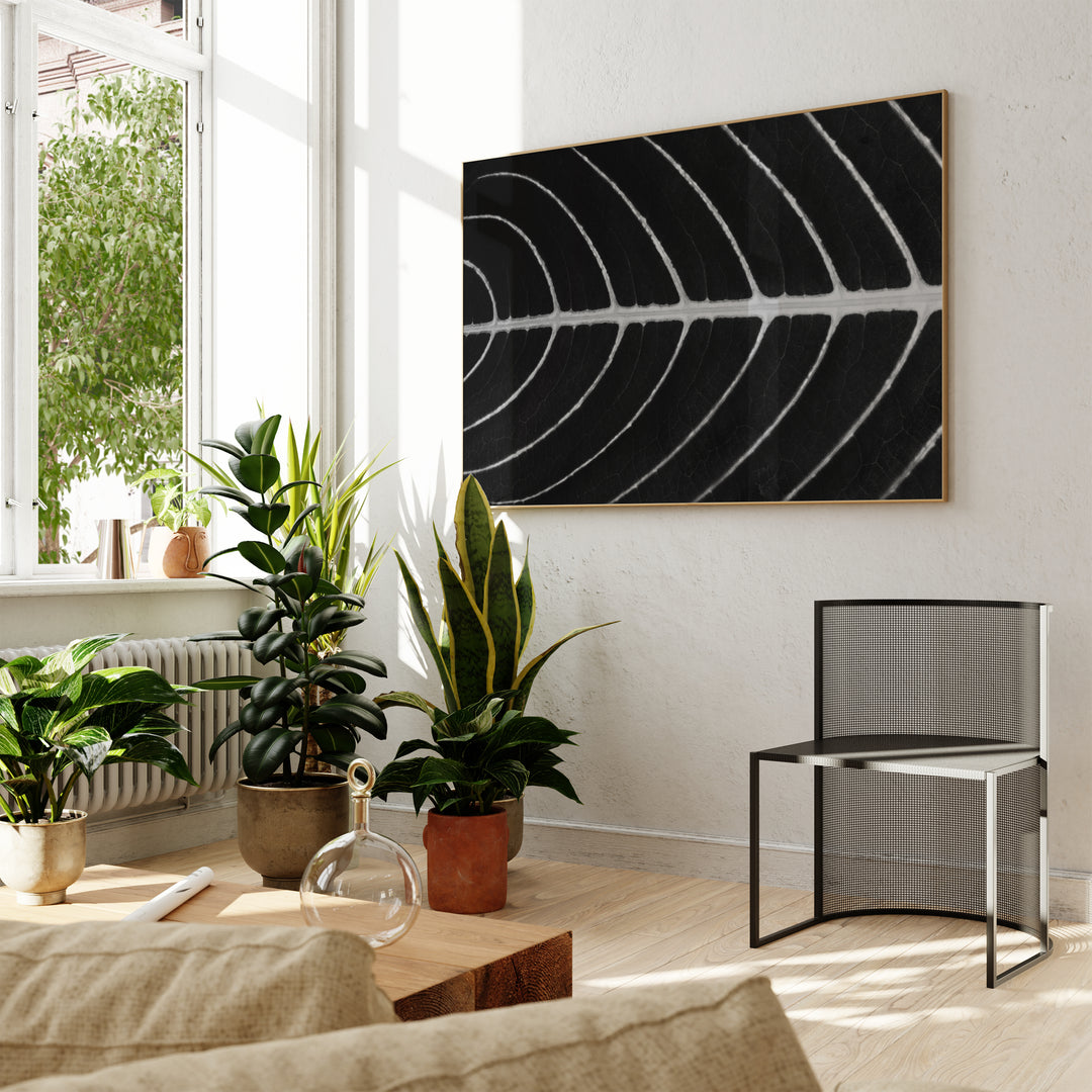 Trace – Black & White Minimalist Leaf Wall Art (Digital Download)
