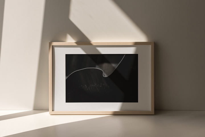 Leaf’s Edge – Black & White Abstract Botanical Wall Art (Digital Download)