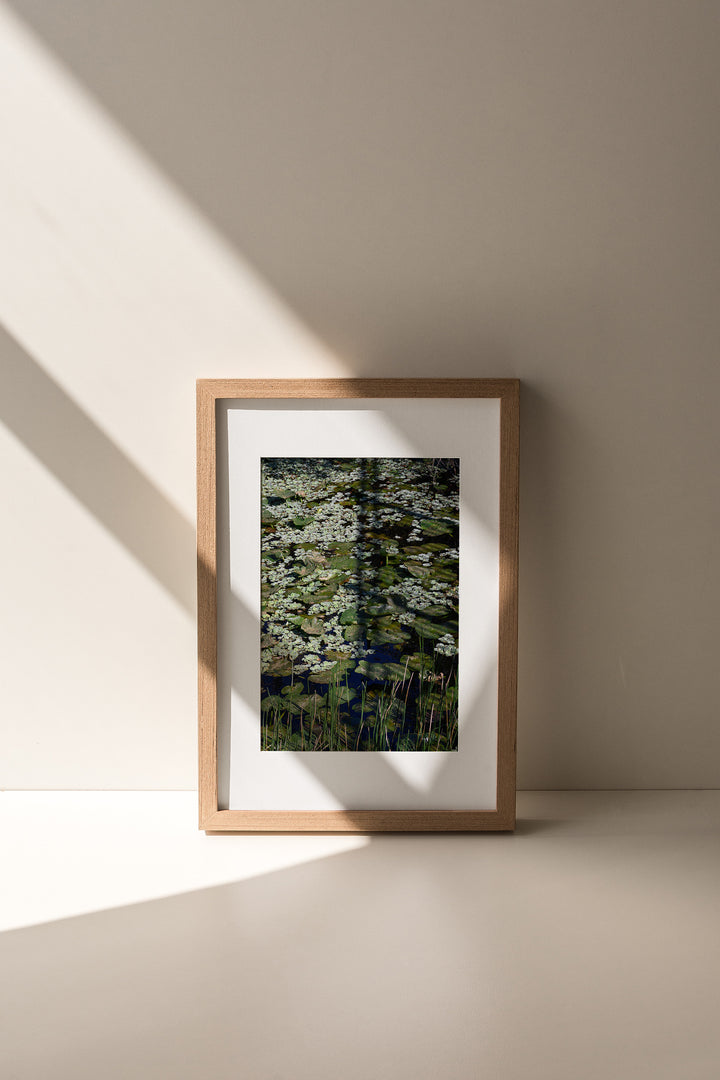 Verdant Design – Botanical Water Garden Wall Art (Digital Download)