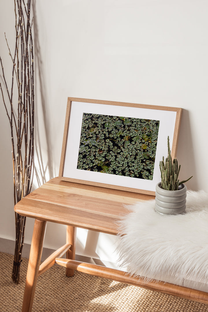 Muted Botanica — Set of 3 Digital Wall Art