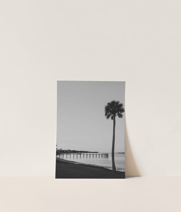 Silent Shoreline – B&W Palm Tree Coastal Wall Art (Digital Download)