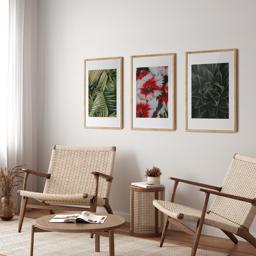 The Nature Study – Botanical Wall Art Set of 3 (Digital Download)