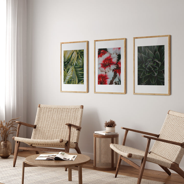 The Nature Study – Botanical Wall Art Set of 3 (Digital Download)