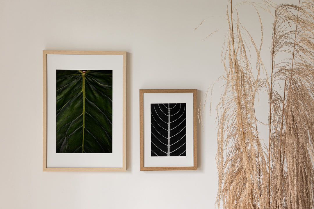Trace – Black & White Minimalist Leaf Wall Art (Digital Download)