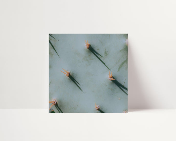 Sharp Shadows on Velvet Cream – Mint Cactus Abstract Square Wall Art (Digital Download)