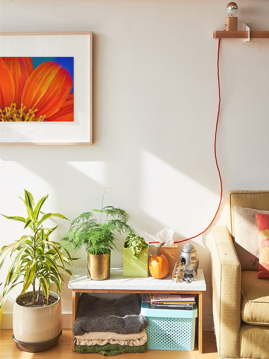 Epitome of Joy – Vivid Floral Wall Art (Digital Download)