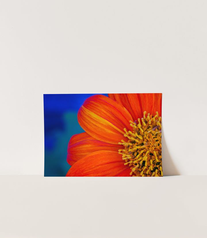 Epitome of Joy – Vivid Floral Wall Art (Digital Download)