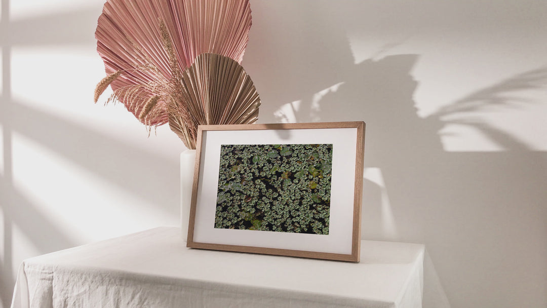 Lily Pad, Lily Pad – Abstract Nature Wall Art (Digital Download)