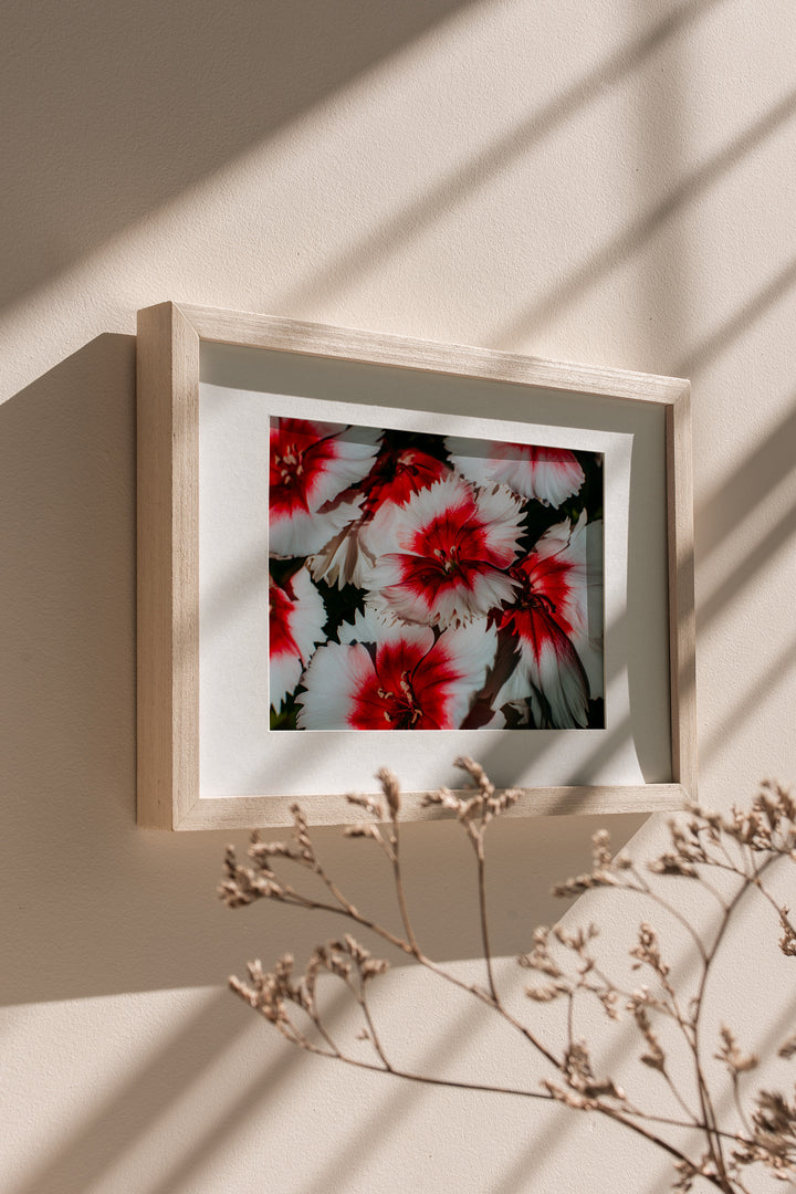 The Nature Study – Botanical Wall Art Set of 3 (Digital Download)