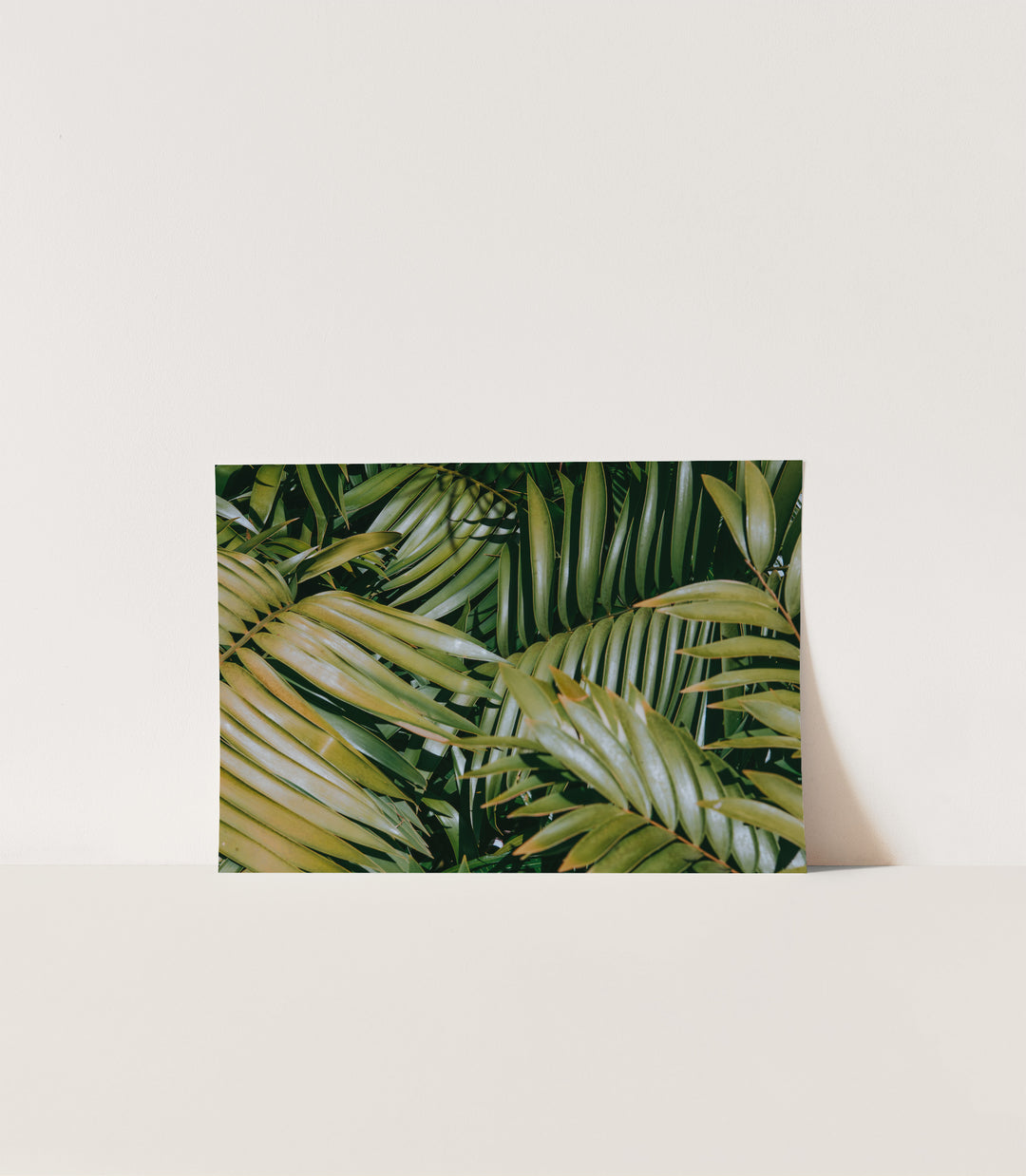tropical leaf art print green botanical photography